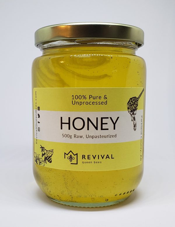 Alberta Raw Honey 500g